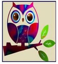 PERUKI logo