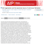 Journal of Chaos paper on VF disorder/order
