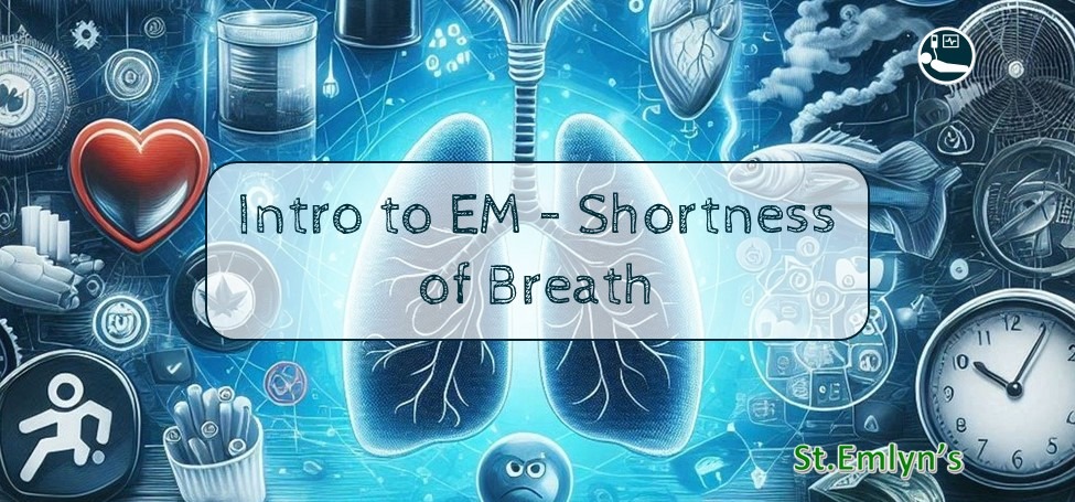 An introduction to the patient with shortness of breath