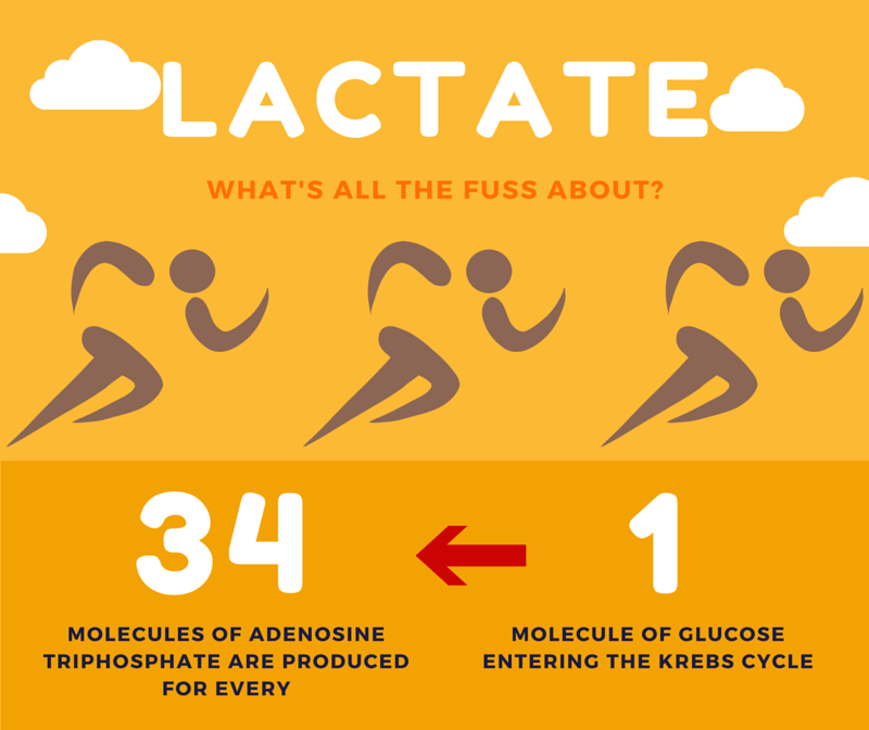 Lactate = LactHATE - St.Emlyn's