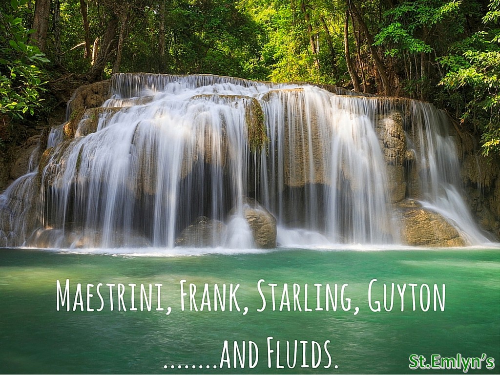 fluids stemlyns