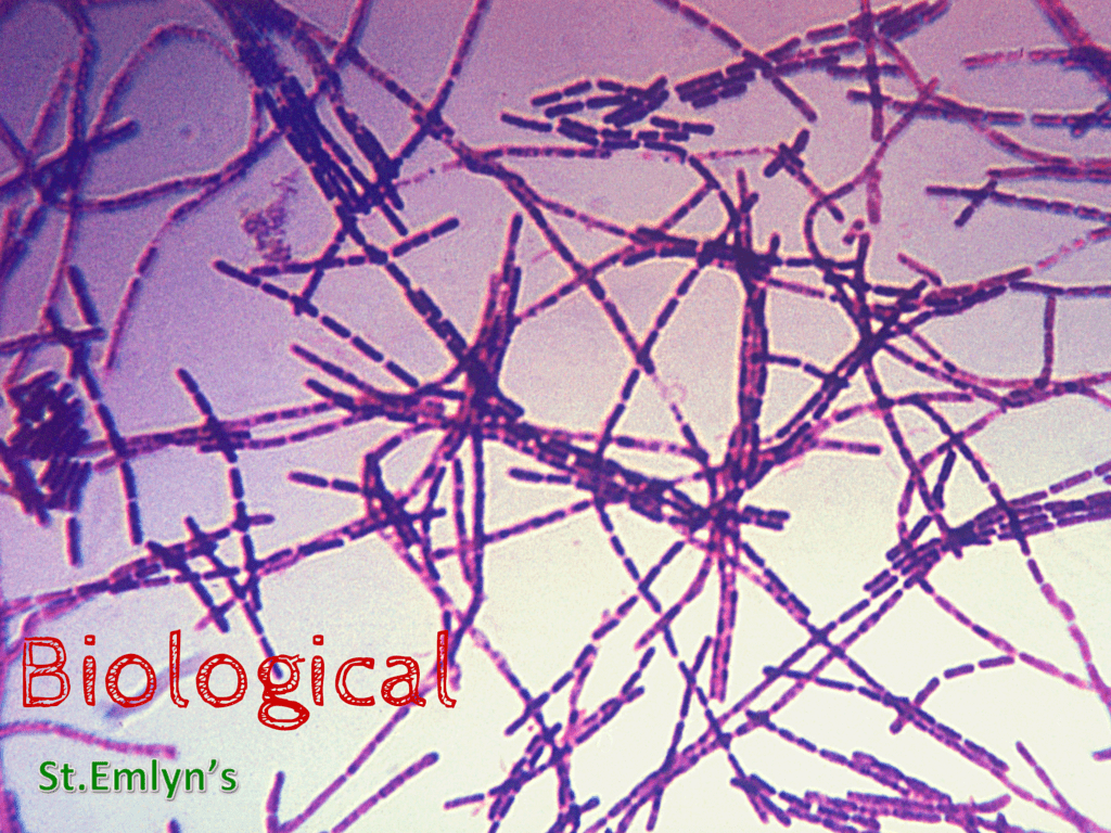 Biological