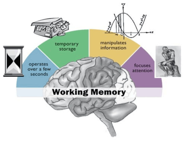 Working Memory Concept bandwidth in the ED St.Emlyn's