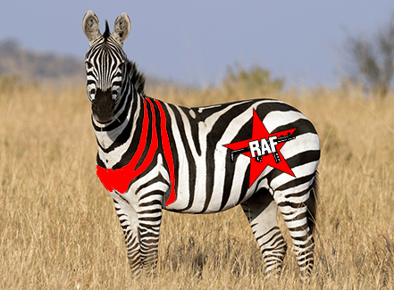 Baader-Meinhof Zebra