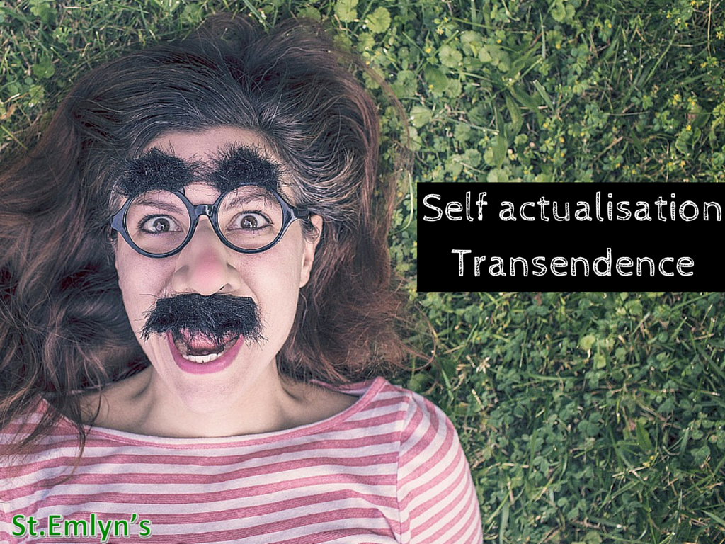 Self actualisation&Transendence(2)