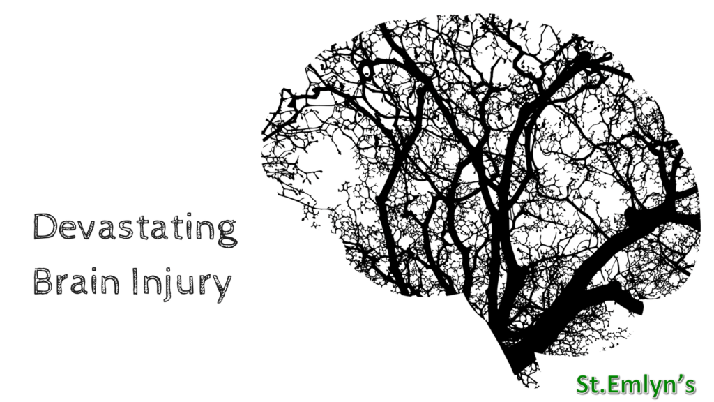 DBI devaststing brain injury stemlyns