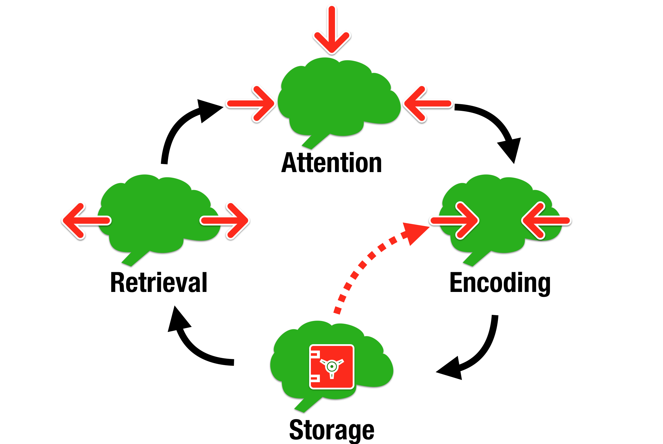 Education theories you should know: Cognitive load theory. St Emlyn's ...