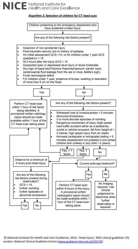 Lesson Plan Head Injury St Emlyn s Lesson Plan Head Injury St Emlyn s