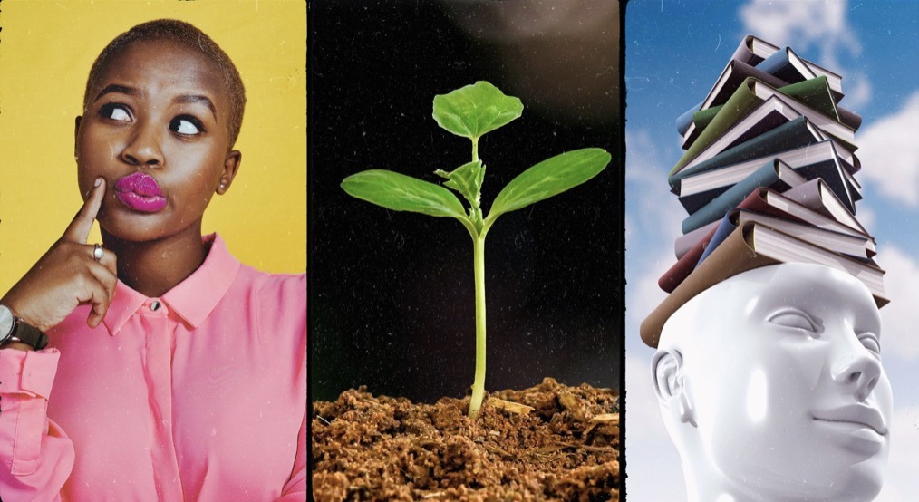 Curiosity, Growth and Knowledge sharing. The key elements of a learning culture.