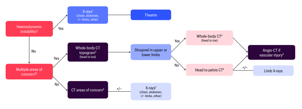 Imaging algorithm for paediatric blast injuries